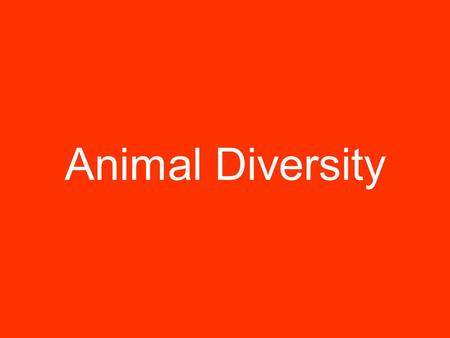 Animal Diversity. Animals are many- celled organisms that are made up of different kinds of cells.