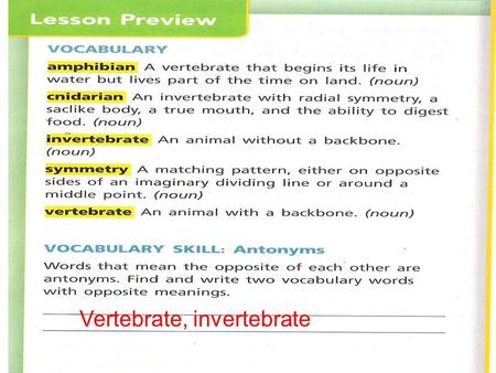 Vertebrate, invertebrate. Animals have many cells and those cells form tissues and organs Animals consume other organisms to get the nutrients and energy.