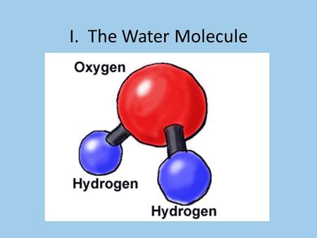 I. The Water Molecule. A. Atoms - the smallest units which display all of the properties of the material.