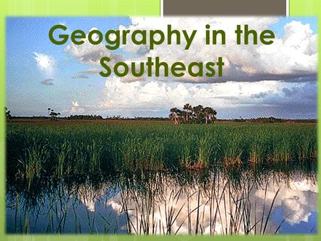 Geography in the Southeast. Lower Region  Beaches  Swamps  Wetlands  Great Dismal Swamp in south of Virginia and northern part of North Carolina 