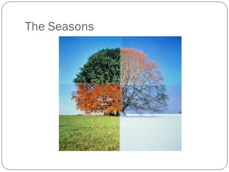 The Seasons.