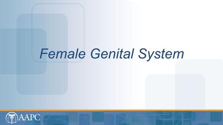 Female Genital System. CPT® copyright 2012 American Medical Association. All rights reserved. Fee schedules, relative value units, conversion factors.