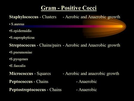 Gram - Positive Cocci Staphylococcus - Clusters - Aerobic and Anaerobic growth S.aureus S.epidermidis S.saprophyticus Streptococcus - Chains/pairs- Aerobic.