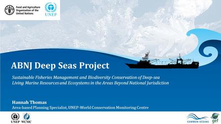 ABNJ Deep Seas Project Sustainable Fisheries Management and Biodiversity Conservation of Deep-sea Living Marine Resources and Ecosystems in the Areas Beyond.