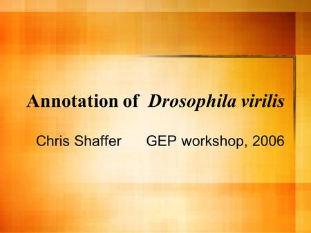 Annotation of Drosophila virilis Chris Shaffer GEP workshop, 2006.