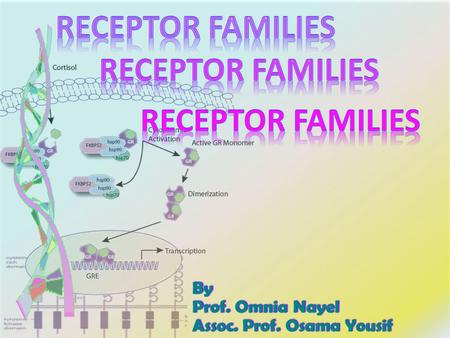 By Prof. Omnia Nayel Assoc. Prof. Osama Yousif. By the end of this lecture you will be able to :  Classify receptors into their main superfamilies 