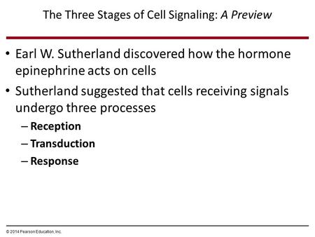 The Three Stages of Cell Signaling: A Preview