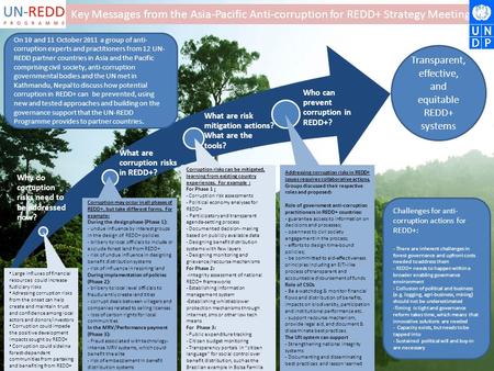 Why do corruption risks need to be addressed now? What are corruption risks in REDD+? What are risk mitigation actions? What are the tools? Who can prevent.