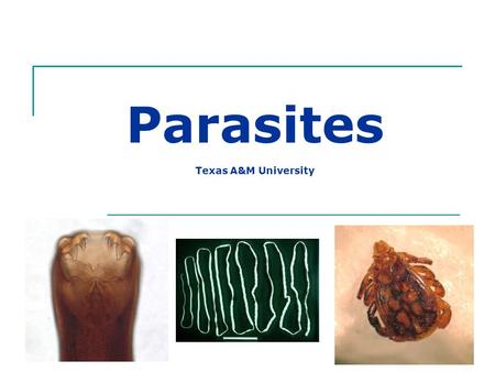 Parasites Texas A&M University. What is a Parasite? Organism that lives within or upon a different host species and may cause harm to the host.