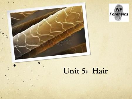 Unit 5: Hair.