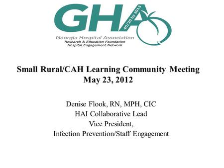 Small Rural/CAH Learning Community Meeting May 23, 2012 Denise Flook, RN, MPH, CIC HAI Collaborative Lead Vice President, Infection Prevention/Staff Engagement.