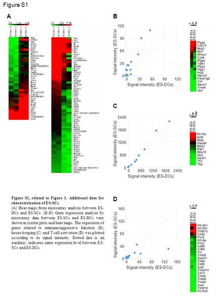 Figure S1, related to Figure 1. Additional data for characterization of ES-SCs. (A) Heat maps from microarray analysis between ES- DCs and ES-SCs. (B-D)