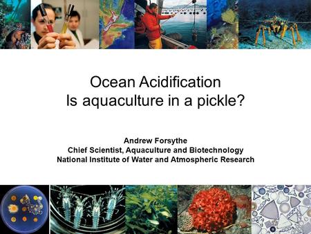 Ocean Acidification Is aquaculture in a pickle? Andrew Forsythe Chief Scientist, Aquaculture and Biotechnology National Institute of Water and Atmospheric.