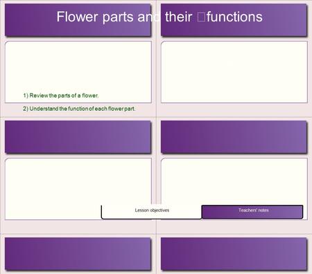 Lesson objectives Teachers' notes 1) Review the parts of a flower. 2) Understand the function of each flower part. Flower parts and their functions Judy.