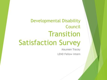 Developmental Disability Council Transition Satisfaction Survey Maureen Tracey LEND Fellow Intern.