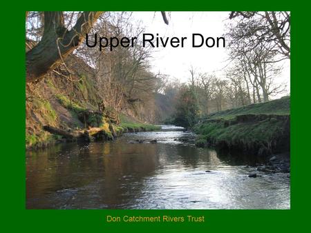 Don Catchment Rivers Trust Upper River Don. Don Catchment Rivers Trust Lower River Don.