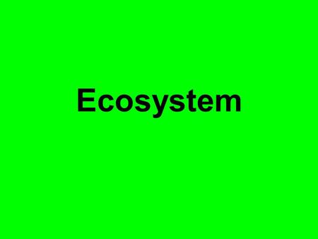 Ecosystem.