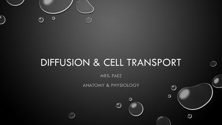 DIFFUSION & CELL TRANSPORT MRS. PAEZ ANATOMY & PHYSIOLOGY.