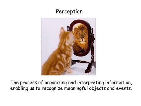 Perception The process of organizing and interpreting information, enabling us to recognize meaningful objects and events.