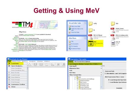 Getting & Using MeV. Loading TDMS (tab-delimited text) data.