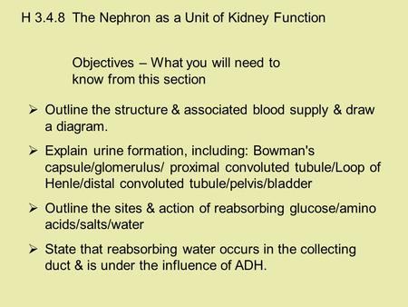 Objectives – What you will need to know from this section  Outline the structure & associated blood supply & draw a diagram.  Explain urine formation,