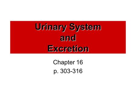 Urinary System and Excretion