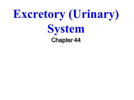 Excretory (Urinary) System