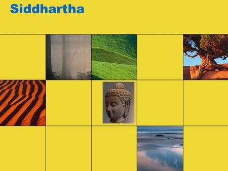 Siddhartha. Quoth Siddhartha: What should I possibly have to tell you, oh venerable one? Perhaps that you're searching far too much? That in all that.