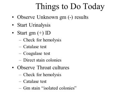 Things to Do Today Observe Unknown gm (-) results Start Urinalysis Start gm (+) ID –Check for hemolysis –Catalase test –Coagulase test –Direct stain colonies.