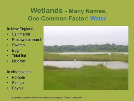 Wetlands - Many Names, One Common Factor: Water In New England: Salt marsh Freshwater marsh Swamp Bog Tidal flat Mud flat In other places: Pothole Slough.