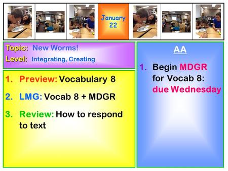 1.Preview: Vocabulary 8 2.LMG: Vocab 8 + MDGR 3.Review: How to respond to text AA 1.Begin MDGR for Vocab 8: due Wednesday Topic: Topic: New Worms! Level: