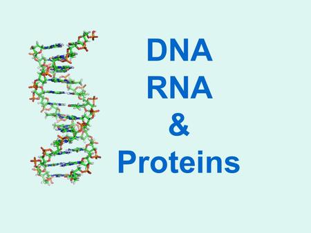 DNA RNA & Proteins. James Watson & Francis Crick and Their DNA Model.