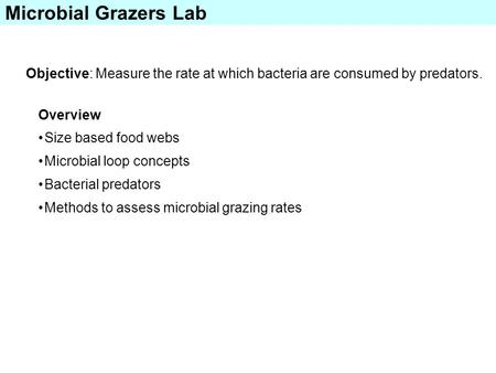 Microbial Grazers Lab Objective: Measure the rate at which bacteria are consumed by predators. Overview Size based food webs Microbial loop concepts Bacterial.