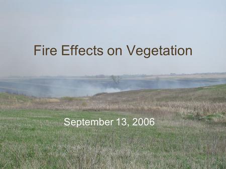 Fire Effects on Vegetation September 13, 2006. Tallgrass Prairie: TTYP First, think to yourself. Write down any causes, effects, and mechanisms that explain.