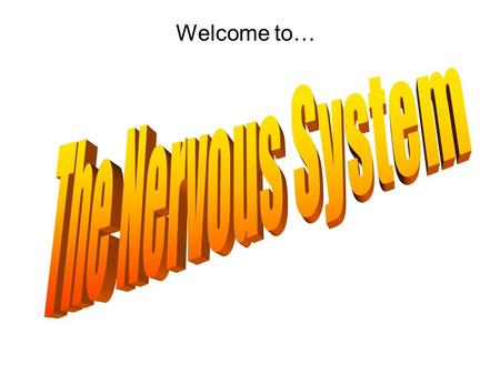 Welcome to… Nervous System Central Nervous System Peripheral Nervous System Parasympathetic Somatic Nerves Autonomic Nerves Spinal Cord Brain MotorSensorySympathetic.