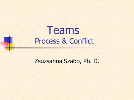 Teams Process & Conflict Zsuzsanna Szabo, Ph. D..