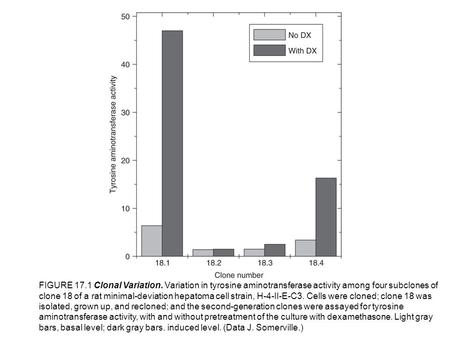 FIGURE Clonal Variation