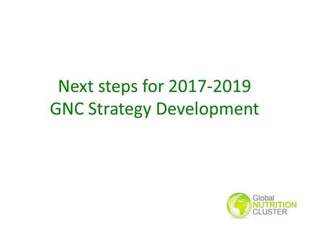 Next steps for 2017-2019 GNC Strategy Development.