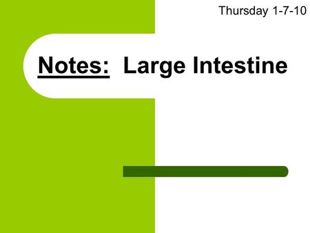 Notes: Large Intestine Thursday 1-7-10. (1) Overall Function Reabsorb water Pass out remaining waste to rectum + anus.