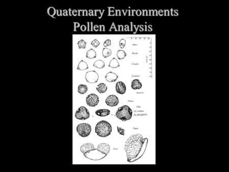 Quaternary Environments Pollen Analysis