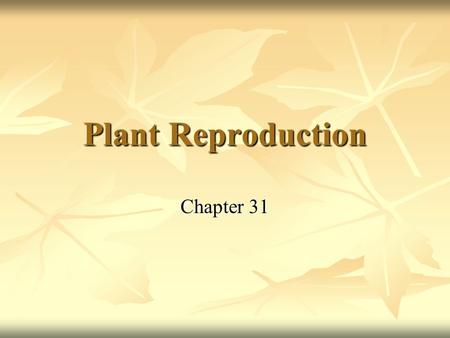 Plant Reproduction Chapter 31. Plants and Pollinators Pollen had evolved by 390 million years ago Pollen had evolved by 390 million years ago Sperm packed.