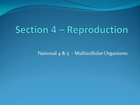 Section 4 – Reproduction