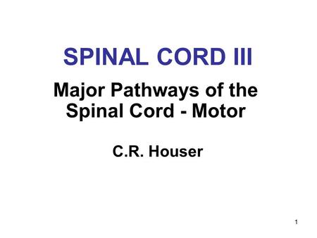 1 SPINAL CORD III Major Pathways of the Spinal Cord - Motor C.R. Houser.