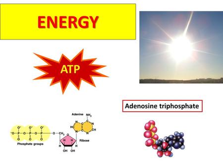 ENERGY ATP Adenosine triphosphate Energy is the ability to ____________or__________. Nearly every activity in modern society depends upon energy. cause.