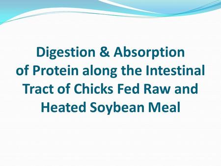 Digestion & Absorption of Protein along the Intestinal Tract of Chicks Fed Raw and Heated Soybean Meal.