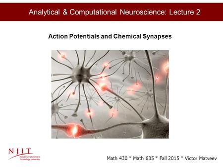 Graduate Seminar, NJIT June 14, 2012 Analytical & Computational Neuroscience: Lecture 2 Action Potentials and Chemical Synapses Math 430 * Math 635 * Fall.