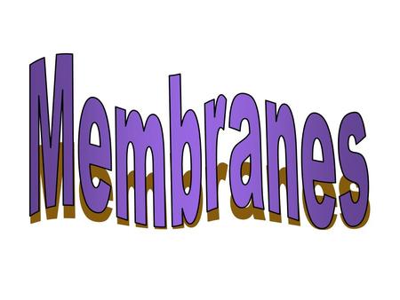 Membrane Different membranes –All have similar functions & structures –Plasma membrane separates inside of cell from outside of cell –Other membrane.