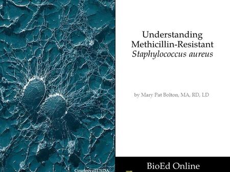 Understanding Methicillin-Resistant Staphylococcus aureus