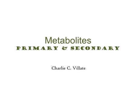 Metabolites Primary & Secondary Charlie C. Villate Greeting Prayer