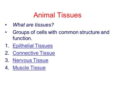 Animal Tissues What are tissues? Groups of cells with common structure and function. 1.Epithelial TissuesEpithelial Tissues 2.Connective TissueConnective.